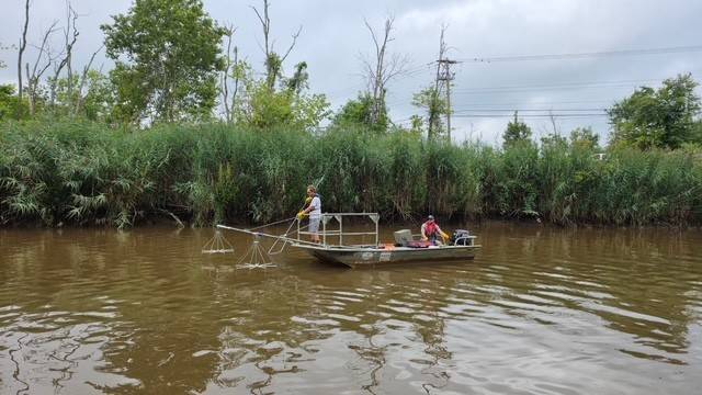 Two people in a small metal boat with equipment hanging off the front work in a waterway collecting fish.