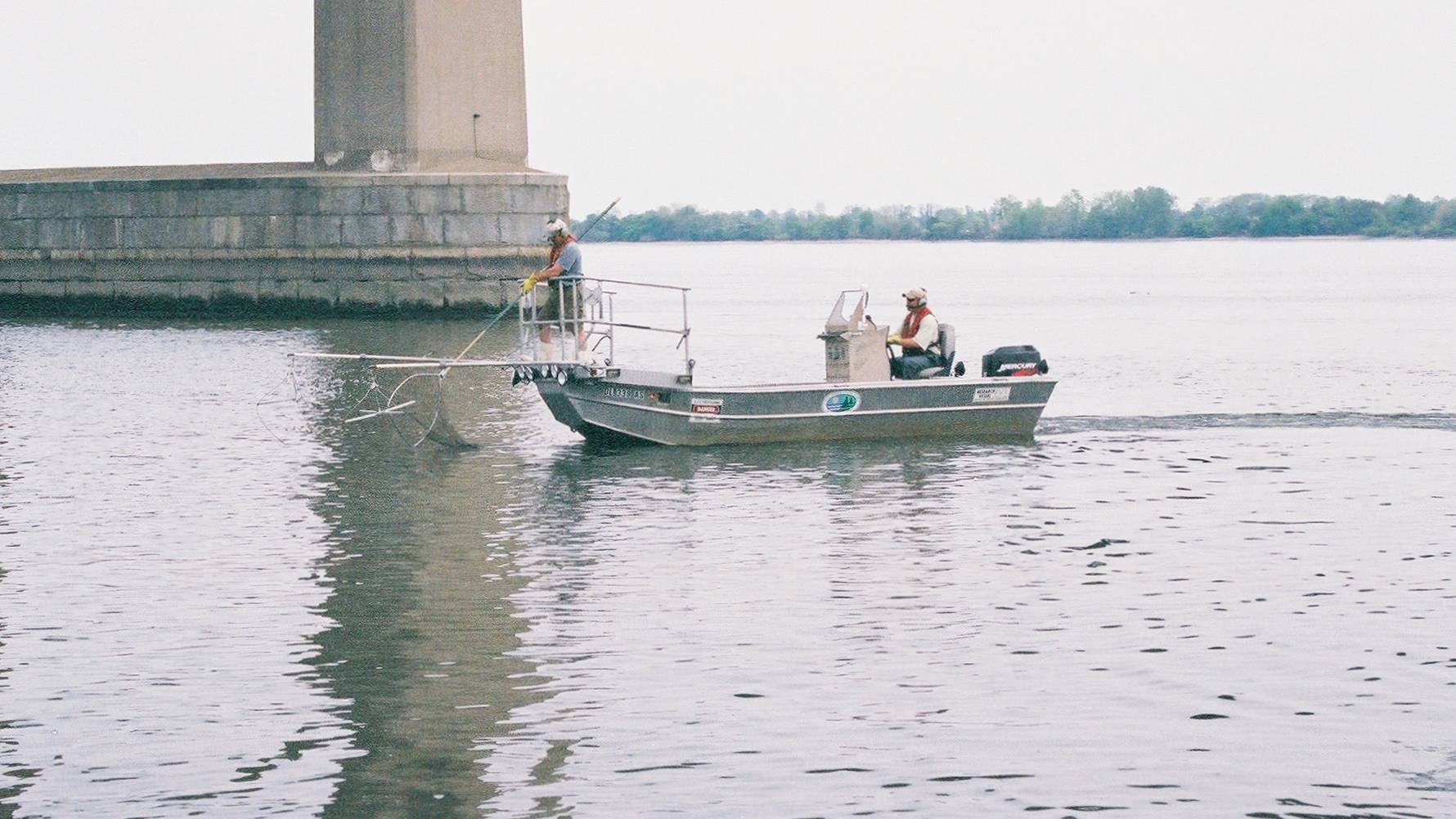Two people in a metal boat collect fish from waters under a large bridge support.