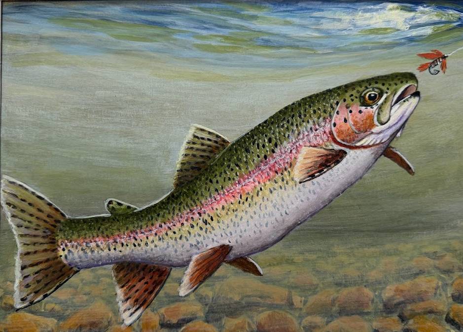 a rainbow-colored fish swims up toward a fly-fisher's hook.