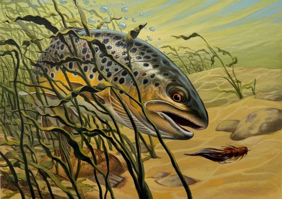 A speckled fish swims among underwater grasses.