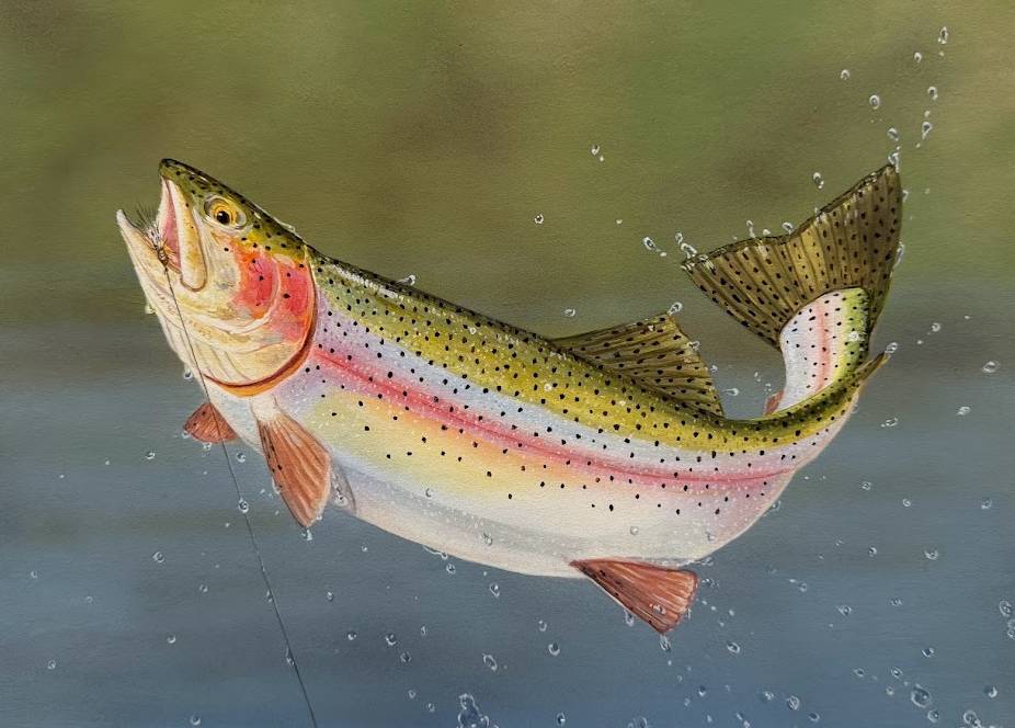 A rainbow-colored trout with a hook in its mouth.