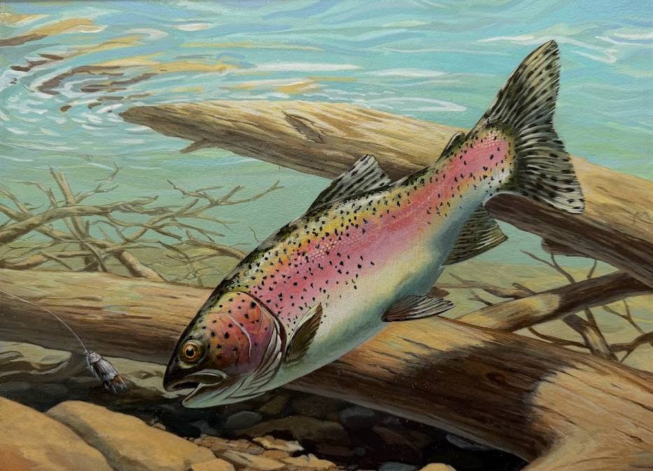 A rainbow-colored fish swimming near some partially submerged tree trunks.