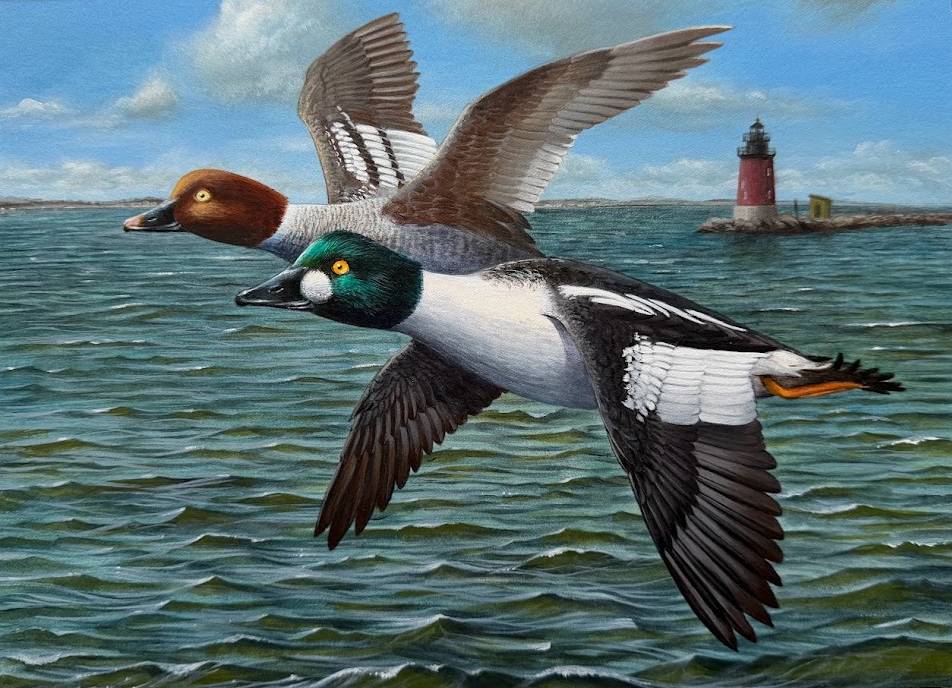 A pair of ducks, one with a green head and one with a brown head in flight near a red lighthouse.