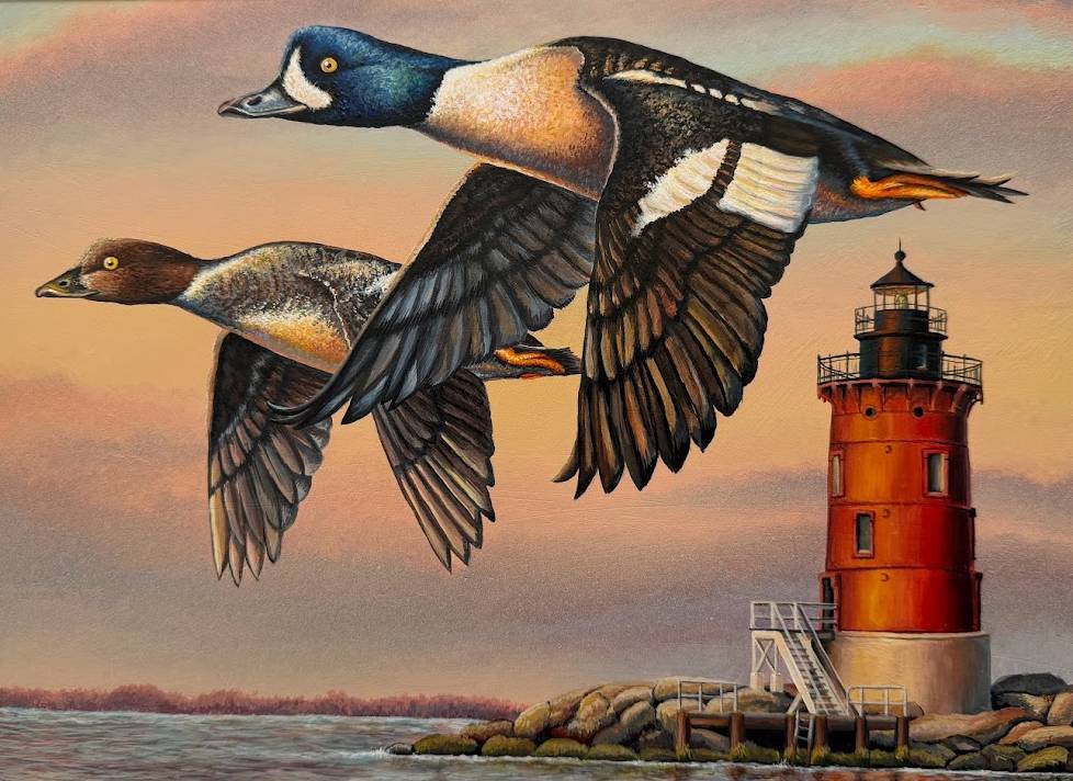 A pair of ducks, one with a dark head and one with a brown head fly past a lighthouse.