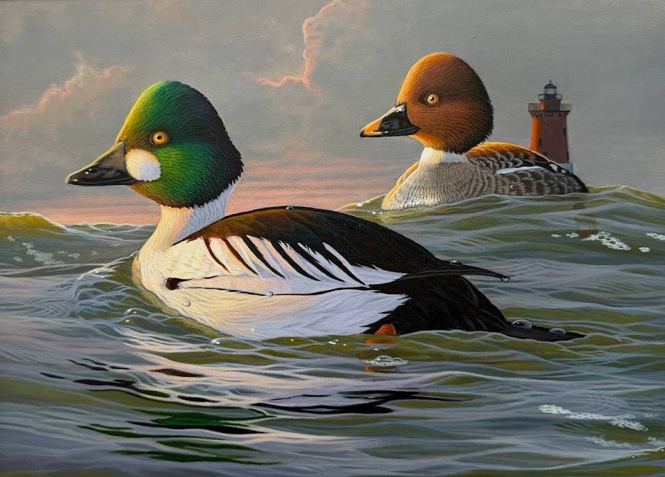 A pair of ducks, one with a green head and one with a brown head in the water near a lighthouse.