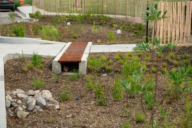 a small culvert leads under a paved walkway from one planting area to another, providing a place for run-off to go.