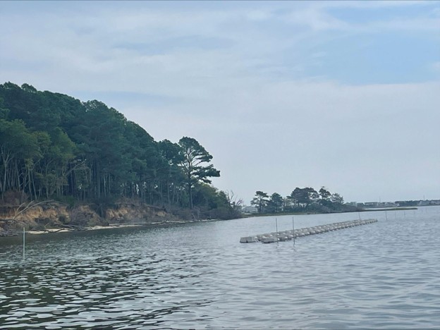 A view of a shoreline with an example of a living shoreline stabilization technique.